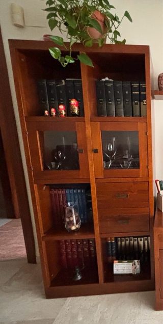 Vitrina de madera y cristal