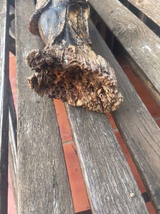 Talla de madera antigua