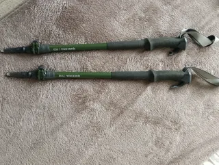 Bastones de senderismo Quechua 500