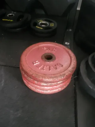 Discos de Pesas Hierro Salter