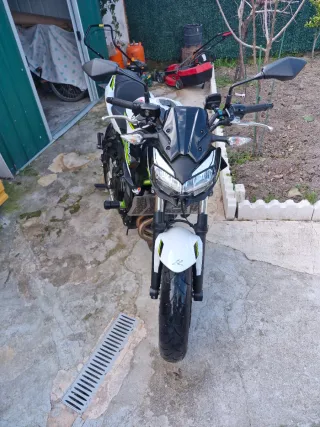 Kawasaki Z650 Naked Verde y Blanca limitada A2.