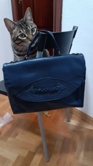 Bolso azul de piel