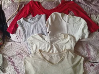 Lote 5 Camisetas Talla M/S Elásticas. 2x1