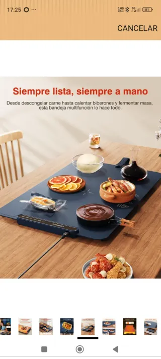 Bandeja Térmica iTRUSOU Plegable