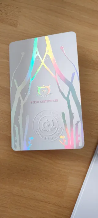 Bambola da collezione