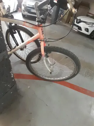 Lote 2 Bicicletas Montaña