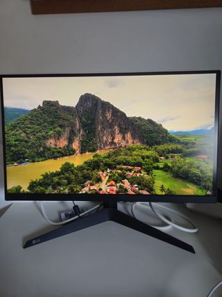 Monitor Gaming LG UltraGear 24 165Hz