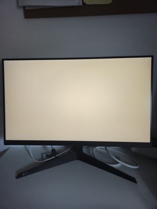Monitor Gaming LG UltraGear 24 165Hz