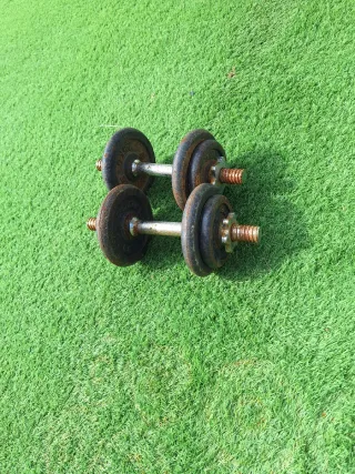 Dos mancuernas 7,5kg