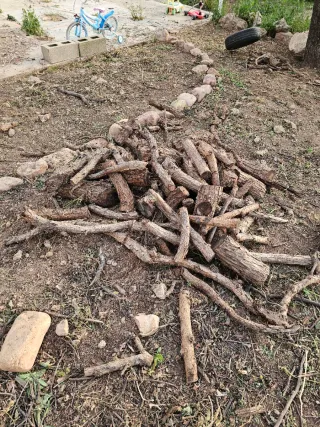 Regalo Leña. Se regala Leña