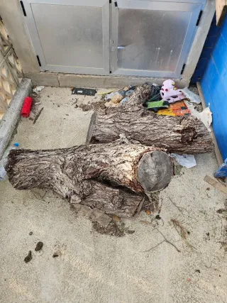 Regalo Leña. Se regala Leña