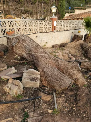 Regalo Leña. Se regala Leña