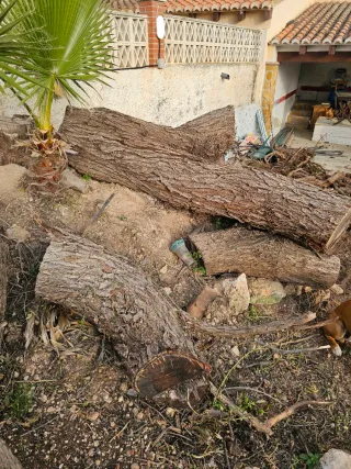 Regalo Leña. Se regala Leña