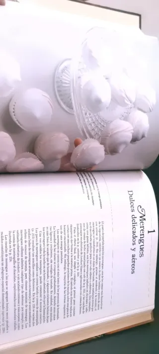 La gran cocina de Salvat. Pabes, bolsos y reposter