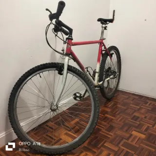 2 Bicicletas: Adulto y Niño