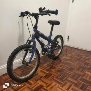 2 Bicicletas: Adulto y Niño