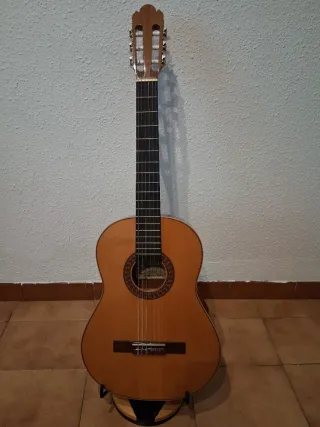 Guitarra Clásica Raimundo 1492-61