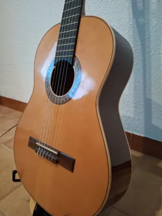 Guitarra Clásica Raimundo 1492-61