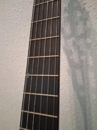 Guitarra Clásica Raimundo 1492-61