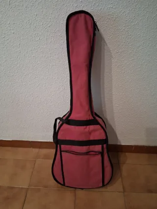 Guitarra Clásica Raimundo 1492-61