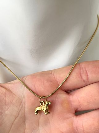 Collana Bassotto in acciaio dorato 45 cm - Nuova