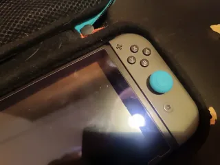 Nintendo Switch con funda, cargador y juegos y RCM