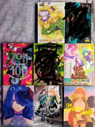 LOTE MANGA