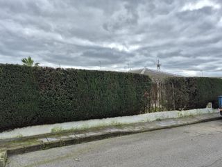 Jardinería Aljarafe