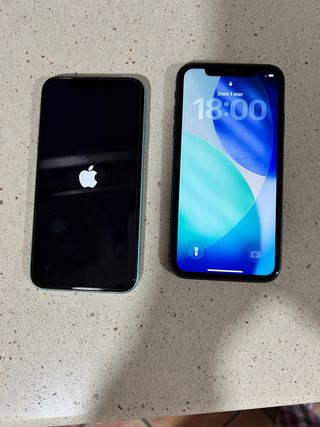 2 iPhone 11 Apple Nero e Verde