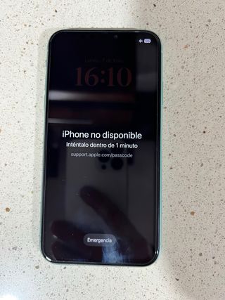 2 iPhone 11 Apple Nero e Verde