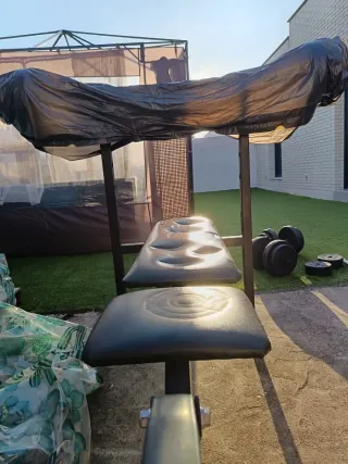 Barra Z con discos de pesas, y banco