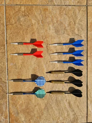 Diana Electrónica Profesional