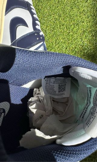 Nike Dunk Low Azul y Blanco