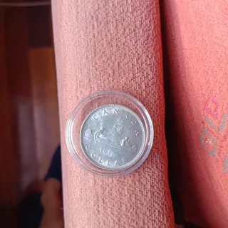 Moneda Plata 1 Dólar Canadiense 1936 circulada