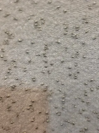 Jersey Mango Blanco con Detalles Plateados Talla Ú