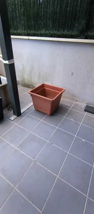 Tiestos para plantas