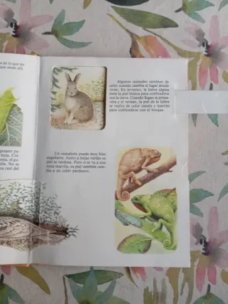 Animales con disfraz