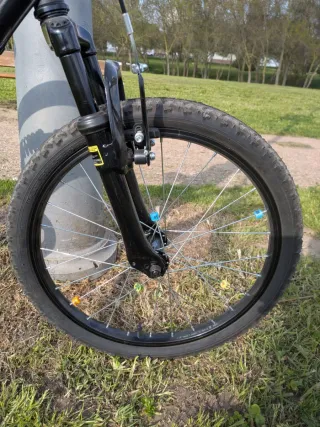 Bicicleta Montaña Infantil Rodado 20