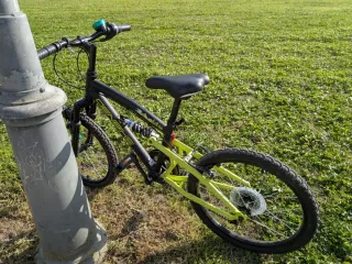 Bicicleta Montaña Infantil Rodado 20