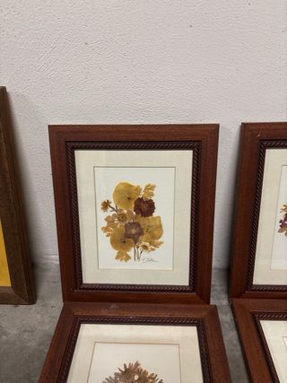 Cuadros de flores secas - Set de 7