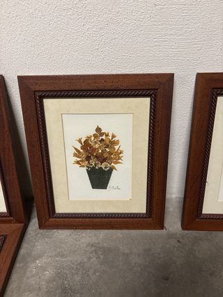 Cuadros de flores secas - Set de 7