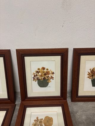 Cuadros de flores secas - Set de 7