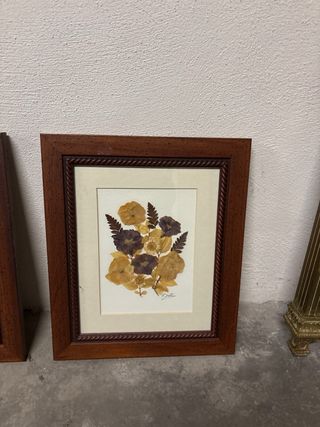 Cuadros de flores secas - Set de 7