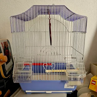 Jaula para pájaros pequeños con accesorios