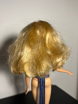 Barbie Rosella Principessa Isola Perduta