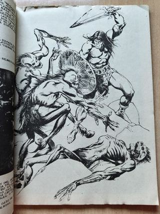 RELATOS SALVAJES 5 - CONAN EL BARBARO - Vertice