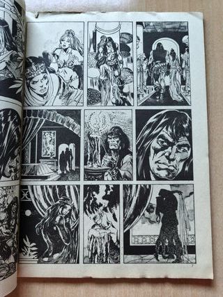 RELATOS SALVAJES 5 - CONAN EL BARBARO - Vertice