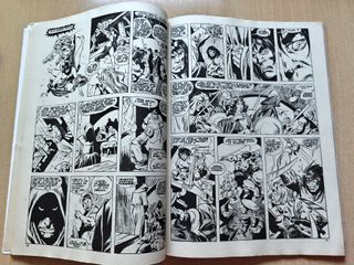 RELATOS SALVAJES 5 - CONAN EL BARBARO - Vertice