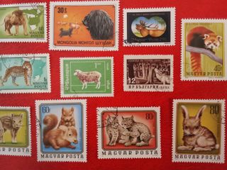 Lote 22 sellos fauna mamíferos