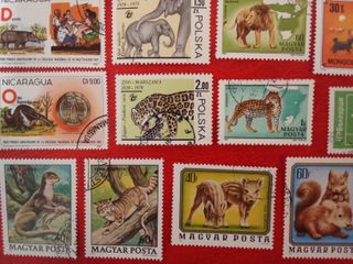 Lote 22 sellos fauna mamíferos